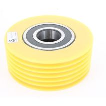 Conj. Polea Desvio M33 Extendido D200-10/6,5